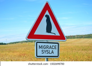 A curious road traffic sign "The migration of a gopher" (in Czech language "Migrace sysla"). This rare and unique sign is near Mohelno, Czech Republic, Europe. It is an important locality of gophers. - Shutterstock ID 1502698700