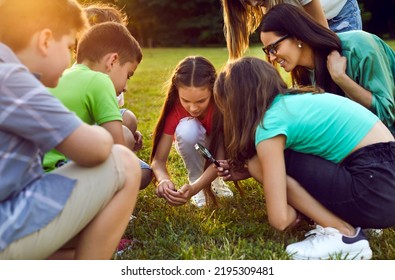 Curious school children explore nature and make little discoveries together. Group of happy schoolboys and schoolgirls learn about environment, do research and use loupe to study insects in grass - Powered by Shutterstock