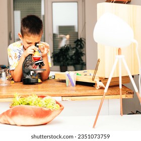 The curious schoolboy and the microscope