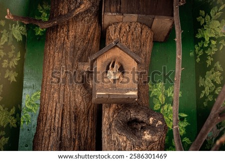 Similar – Image, Stock Photo Curious squirrel in a tree