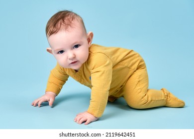 Curious Toddler Baby Crawling On Studio Blue Background. Funny Child Boy At The Age Of Six Months With Surprise On His Face, Copy Space