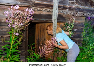 A Curious Young Woman Peers Through The Door Of An Abandoned House. An Abandoned Village In The Northern Forest. Tourist Destination.