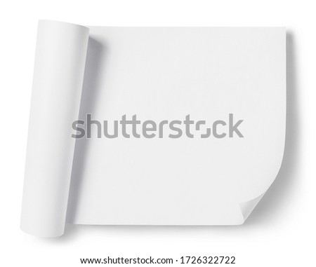 Curled blank paper sheet, isolated on white background