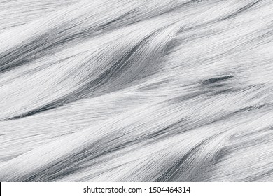 Curled Gray Hair As Background, Texture