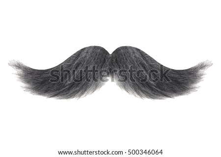 Curly black with grey moustache isolated on a white background