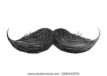 Curly black mustache isolated on a white background