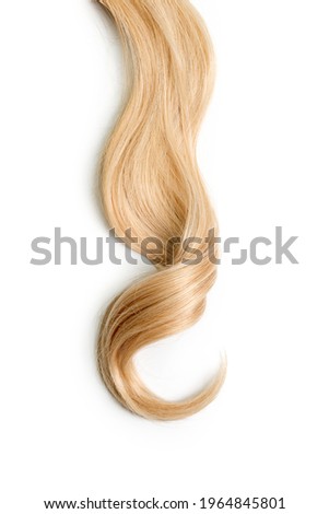 Curly blonde hair isolated on white background. Beautiful healthy long blond hair lock, haircut, hairstyle. Dyed hair or coloring, hair extension, cure, treatment concept