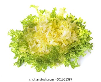 Curly Endive In Front Of White Background