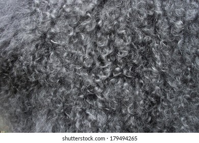 Curly Hair Texture