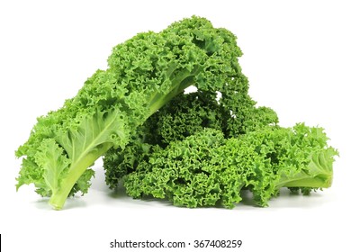 Curly Kale Isolated On White Background
