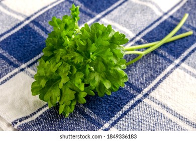 Curly Parsley On Blue Napkin.  Overhead View With Horizontal Composition.