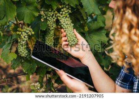 Curly woman farmer using tablet apps to study fall crop development. Smart farming agricultural technology and organic agriculture. Technologies in