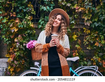 Curly woman posing with vintage bicycle and cup of coffee near green plant wall. Female wearing brown hat and cardigan is travelling by bike with big basket of pink camomiles. Concept of leisure.