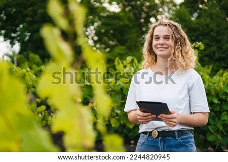 Curly-haired farmer with tablet checking the green grapes before harvesting for sale in the vineyard field. Smart farming and digital agriculture. Internet