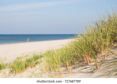 Sunny Beach Sand Dunes Blue Sky Stock Photo (edit Now) 102217855