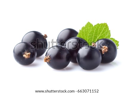 Currant with leaf