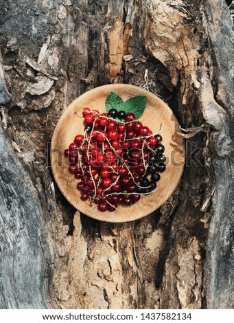 Image, Stock Photo Bowl full of ripe cherries in the sunlight