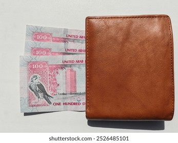 Currency notes, UAE Emirates currency 100Aed, Dirhams, Closeup of UAE Hundred dirhams currency notes, paper money 100 Aed dirhams.
Dirhams banknotes, UAE Emirati Paper currencies notes 100 dirham