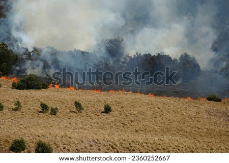 The current condition of Mount Bromo is when the savanna and Jemplang hills are burning, resulting in forest and land fires
