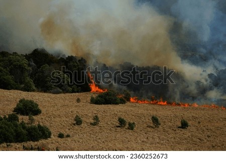The current condition of Mount Bromo is when the savanna and Jemplang hills are burning, resulting in forest and land fires