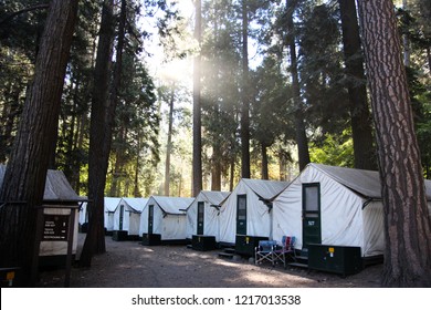 Curry Village In Yosemite National Park