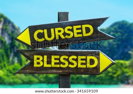 Cursed - Blessed signpost in a beach background
