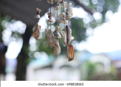 Curtain shells 3