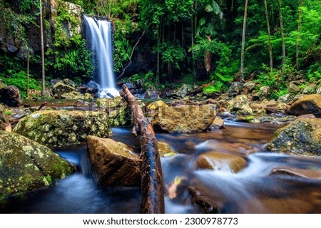 The Curtis Falls fresh water flowing on wet rocks surrounded by trees with a log in the foreground