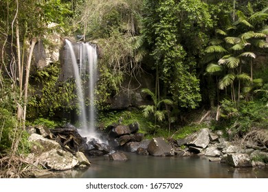 Curtis Falls, South-East Queensland, Gold Coast Hinterland, Australia