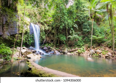 Curtis Falls Tamborine National Park