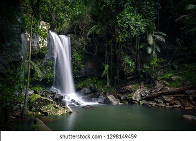 Curtis Falls, Tamborine National Park