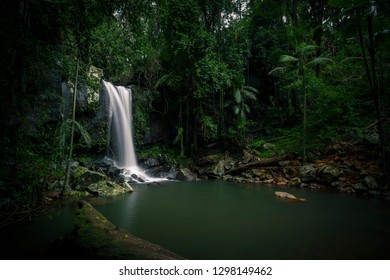 Curtis Falls, Tamborine National Park