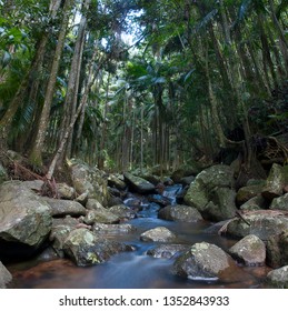 Curtus Falls River Tamborine National Park Qld