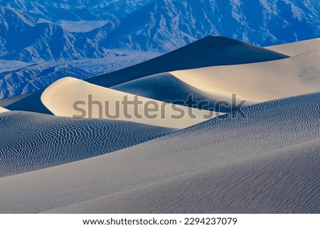 Curvaceous dune undulations contrast with craggy mountains beyond, Mesquite Flats Sand Dunes, Death Valley National Park, California