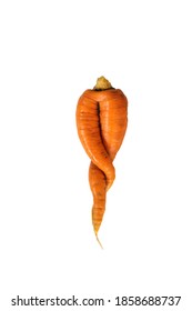 Curve Carrots On A White Background. Deformed Carrot Resembling Human Legs Shape.