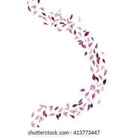 Curve of daisy petals, in two lilac color tones, vertically repeating, studio photographed and isolated on absolute white