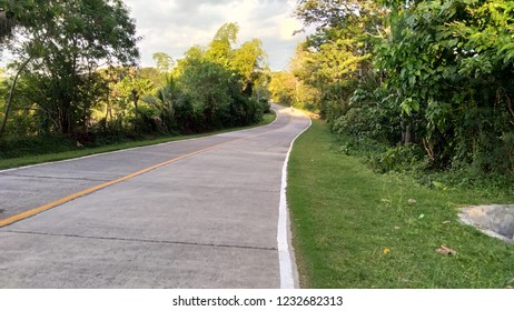 Curve Road and with green woods