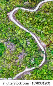 Curve In The Road In A Jungle Woodland Forest Concrete S Curve Path No People Copy Space Drone Aerial Ariel UAV Birds Eye View Top Down Landscape