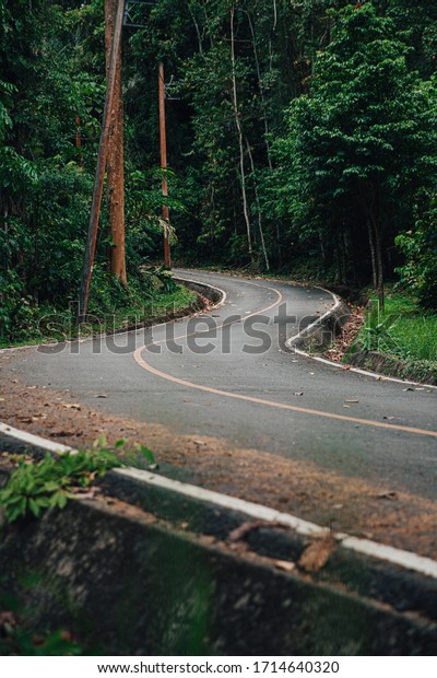 curve of road line to Abundant forest or\
Tropical forest. Beside the road have an electric pole. environment\
concept. green energy. travel\
concept.