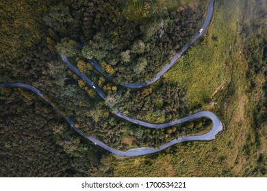 Curve Road Throught The Green Forest Ariel View, Ariel Top View Of The Forest, Beauty Of Nature 