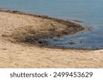 Curve Shape Sand Beach Coastline: Lakeside on a Hot Summer Day.