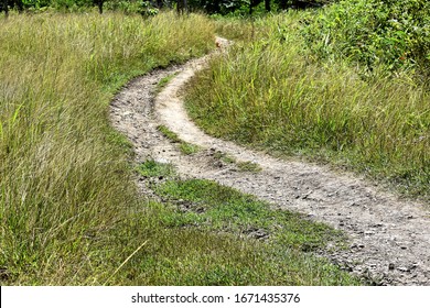 A Curve Shaped Dirt Path