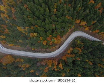 Curved Bending Road In The Forest. Aerial Image Of A Road. Forrest Pattern. Scenic Curvy Road Seen From A Drone In Autumn. Aerial Top Down View Of Zig Zag Winding Mountain Road, Drone Shot.
