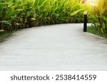 Curved concrete pathway lined with lush green foliage. Path appears to wind through a garden or park. Strolling along the path and enjoying the natural beauty of Canna Lily.