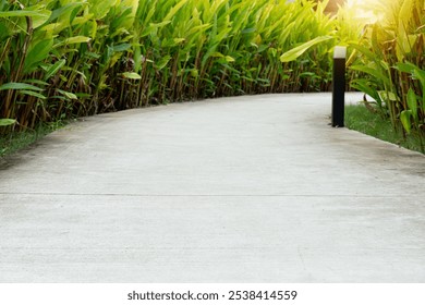 Curved concrete pathway lined with lush green foliage. Path appears to wind through a garden or park. Strolling along the path and enjoying the natural beauty of Canna Lily. - Powered by Shutterstock