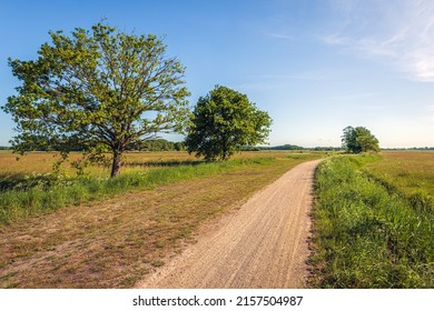 Curved Cycling And Walking Path Through A Dutch Nature Reserve In The Province Of North Brabant. There Are Some Trees At The Edge Of The Path. It Is A Sunny Spring Day With A Clear Blue Sky.