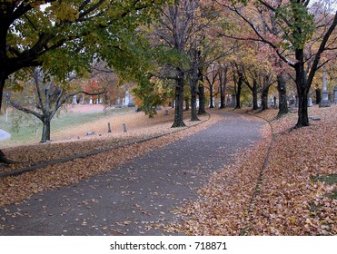 Curved Entrance Road To A Cemetary In Autumn With Leaves On Ground And Trees