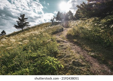 Curved Footpath On The Hill With Sun Flare. Beautiful Scenery For Hiking In The Soca Valley, Slovenia