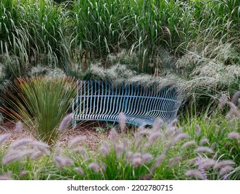 Curved Garden Bench Seen In Ornamental Grass Garden In The UK In Late Summer.