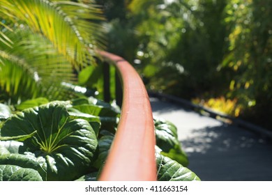 Curved Handrail Into The Distance - Hamilton Gardens, NZ